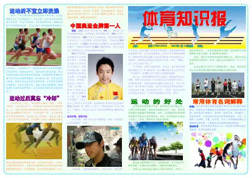 体育知识报463A3体育电子小报成品,体育运动手抄报模板,足球乒乓球羽毛球简报,小学生体育知识感板报