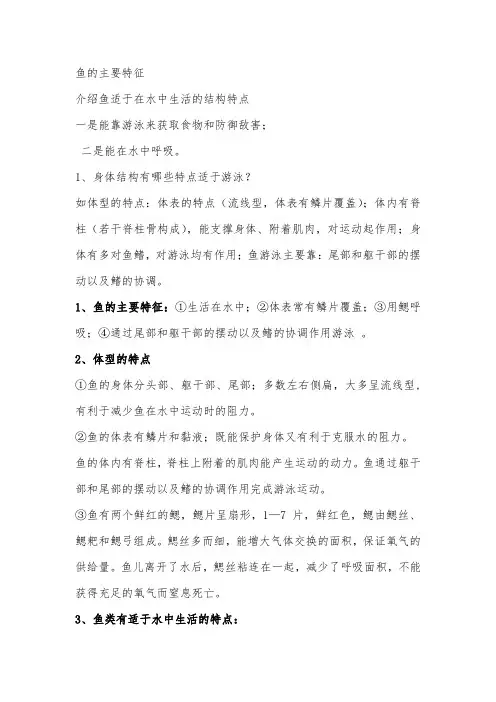 鱼的主要特征