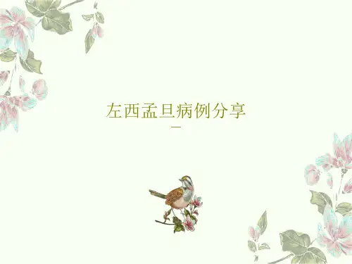 左西孟旦病例分享共30页文档