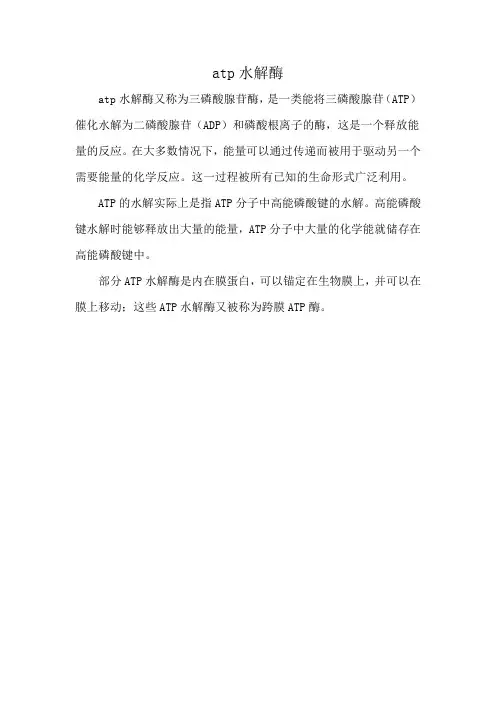 atp水解酶