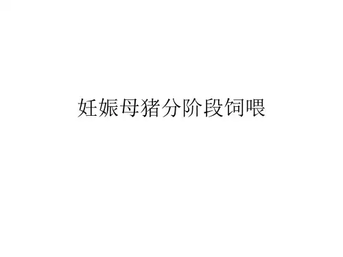 妊娠母猪分阶段饲喂 (2)