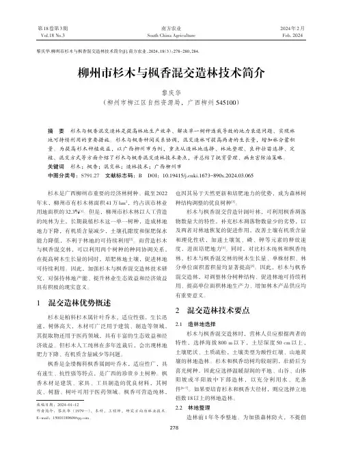 柳州市杉木与枫香混交造林技术简介