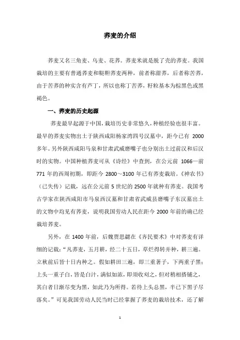 荞麦的介绍