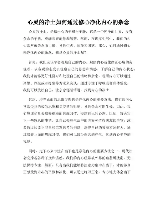 心灵的净土如何通过修心净化内心的杂念