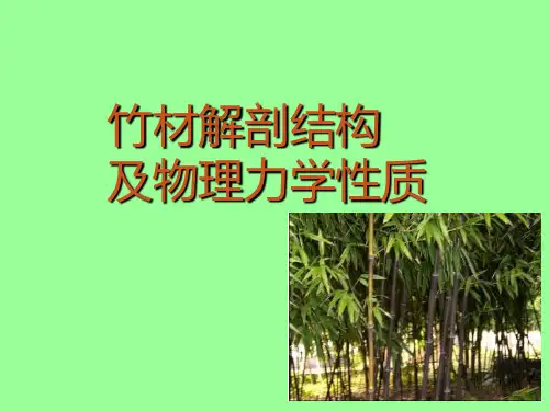 森林利用学：竹材解剖结构及物理力学性质