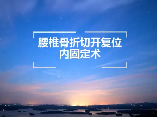 腰椎骨折切开复位内固定术_副本