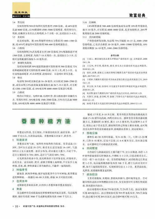 香葱种植方法