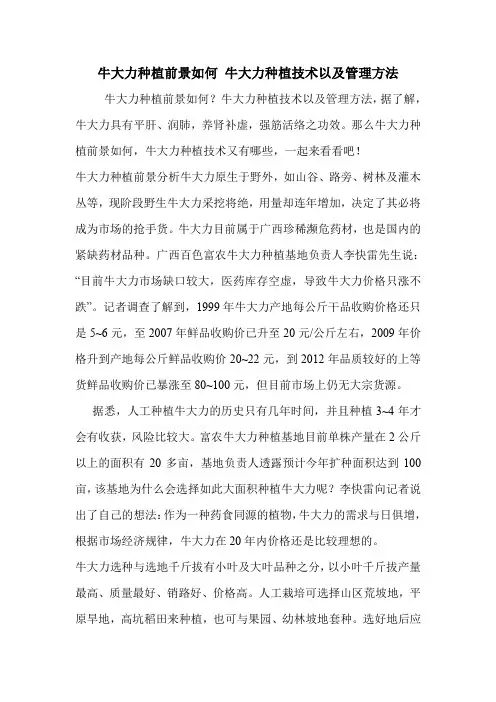 牛大力种植前景如何 牛大力种植技术以及管理方法.doc