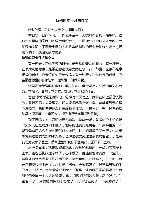 特殊的爱小升初作文范文（通用5篇）
