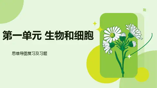七年级上册(人教版2024)生物第一单元思维导图复习及练习
