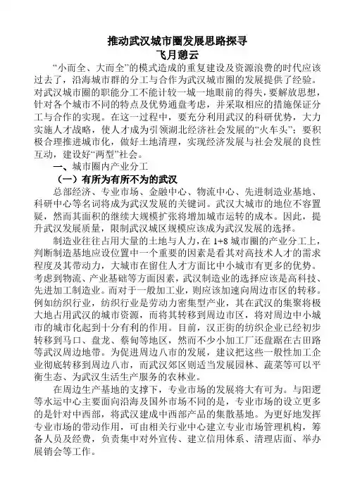 推动武汉城市圈发展思路探寻