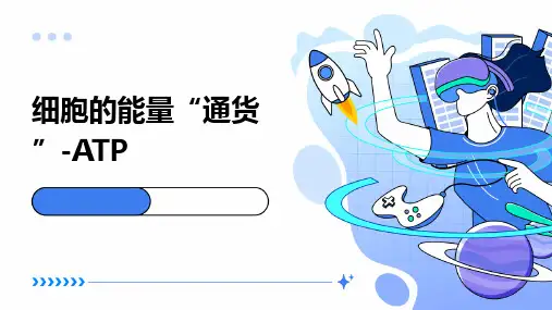 细胞的能量“通货”-ATP(优质课)