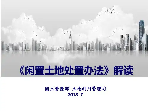 闲置土地处置办法解读