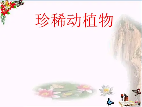 (精选)六年级科学上册珍稀动植物ppt课件8青岛版