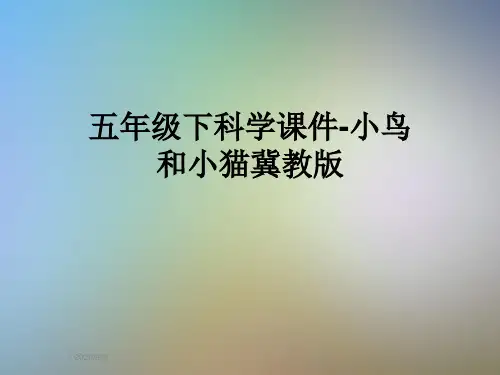 五年级下科学课件-小鸟和小猫冀教版