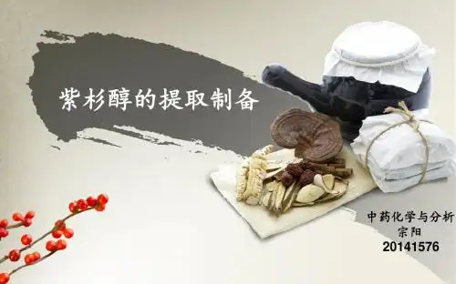 紫杉醇的提取制备