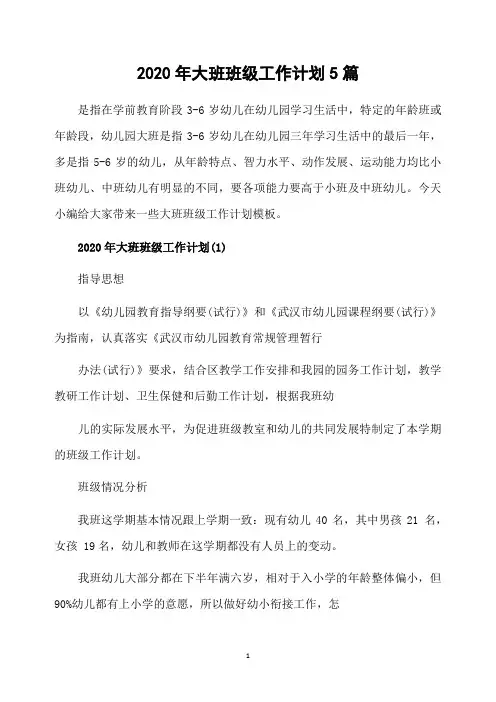 2020年大班班级工作计划5篇