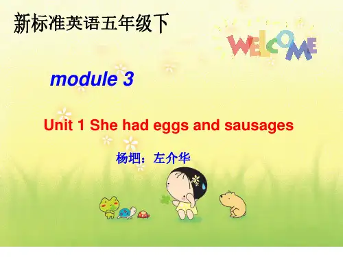 She-had-eggs-and-sausages--ppt课件