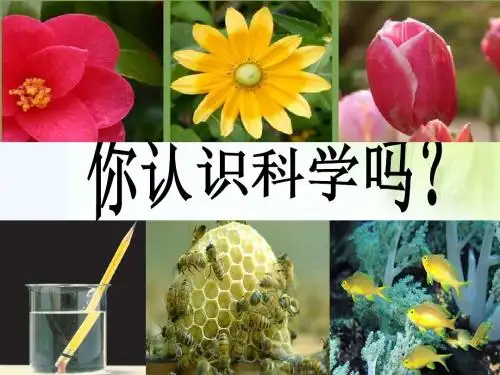 1.1科学并不神秘_上课课件