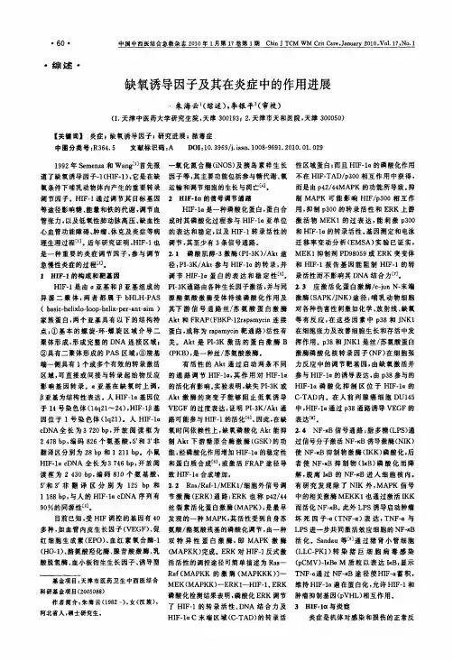 缺氧诱导因子及其在炎症中的作用进展