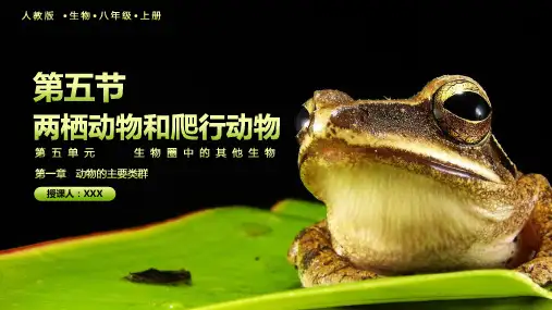 人教版生物八年级上册两栖动物和爬行动物