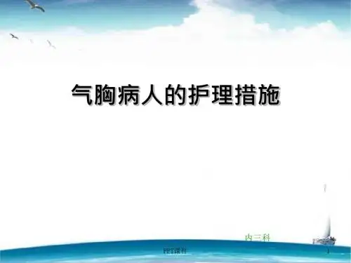 气胸病人的护理措施  ppt课件
