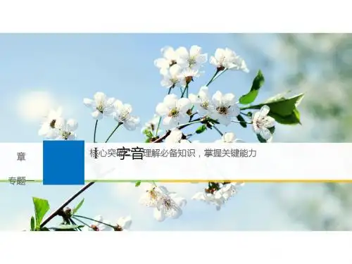 2019届高考语文一轮复习备考资料(浙江专用)课件ppt (1)