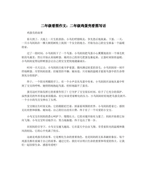 二年级看图作文：二年级鸡蛋壳看图写话