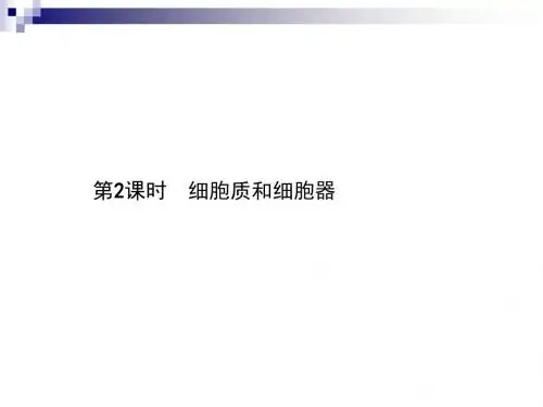 苏教版必修一3.2.2 细胞质和细胞器 课件(34张)