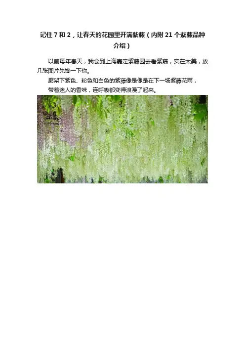 记住7和2，让春天的花园里开满紫藤（内附21个紫藤品种介绍）