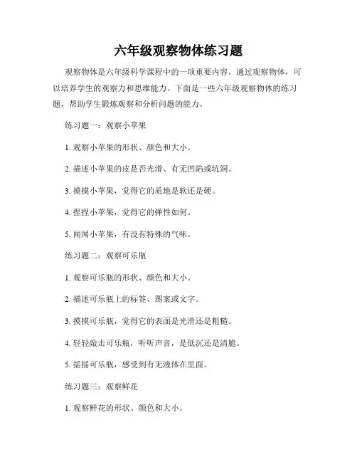六年级观察物体练习题
