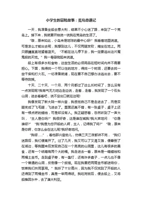 小学生的冒险故事：荒岛奇遇记