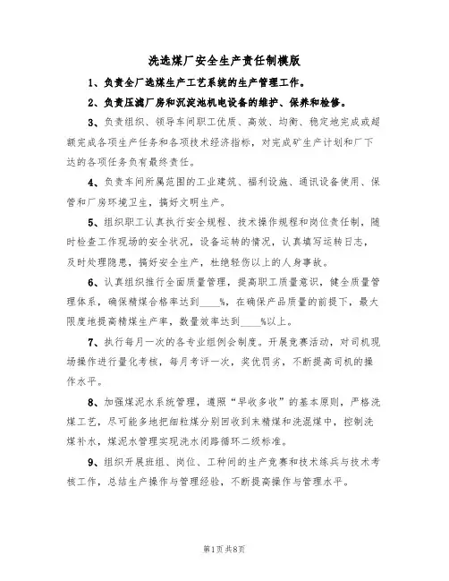 洗选煤厂安全生产责任制模版（3篇）