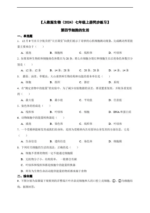 【人教版生物(2024)七年级上册测试卷】1.2.4细胞的生活(含答案)