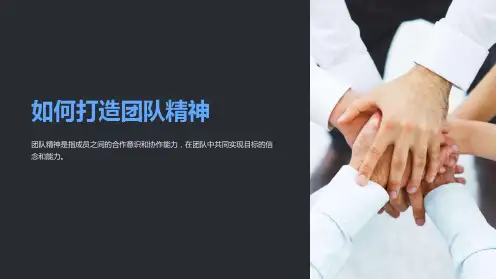 《如何打造团队精神》课件