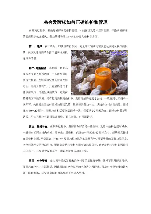 鸡舍发酵床如何正确维护和管理