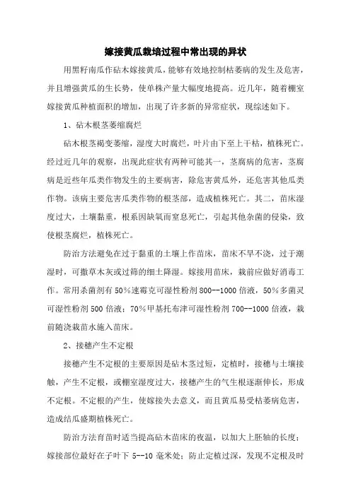 嫁接黄瓜栽培过程中常出现的异状