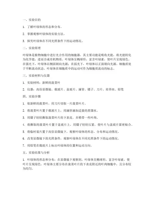 菠菜叶绿体实验报告