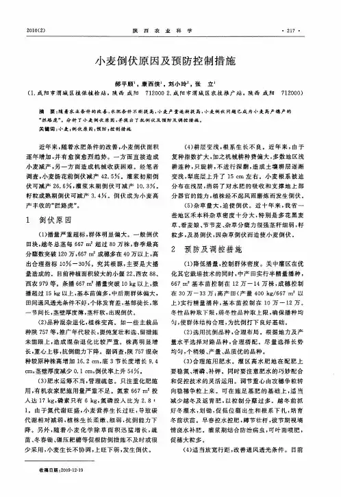 小麦倒伏原因及预防控制措施