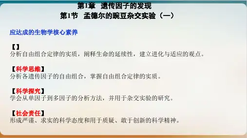 人教 高中生物必修 第一章第二节 孟德尔豌豆杂交实验PPT精美版