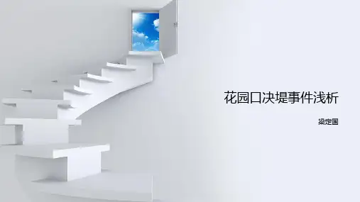 花园口决堤事件浅析