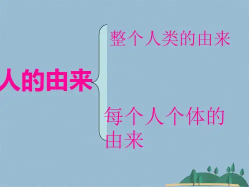 初中生物 人的由来复习(共31张PPT)