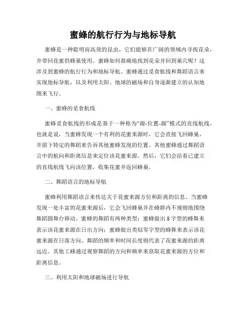 蜜蜂的航行行为与地标导航