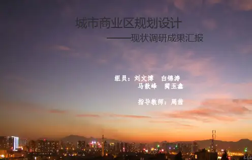 现状调研成果汇报
