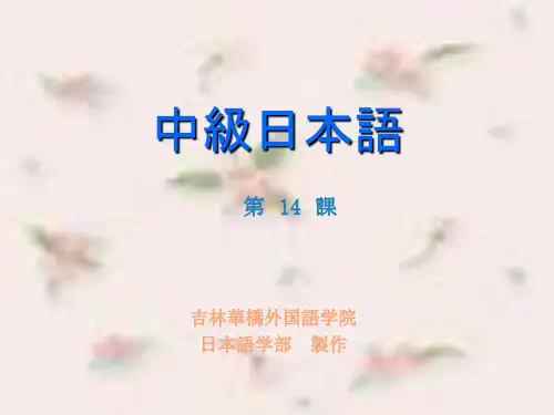 中级14课(本文)ppt