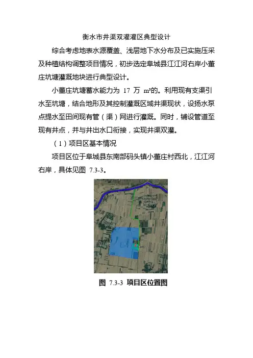 【绝对精品}衡水市井渠双灌灌区典型设计