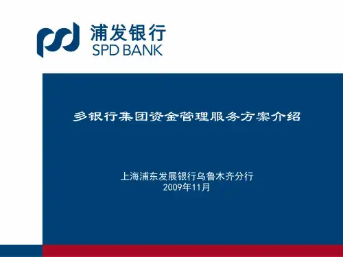 多银行集团资金管理服务方案