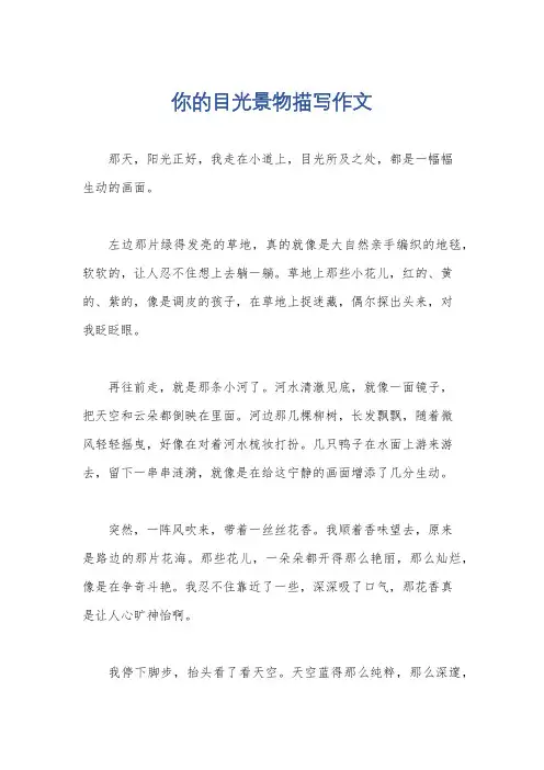 你的目光景物描写作文