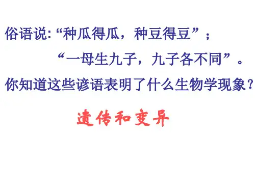 遗传的基本规律(必复习)