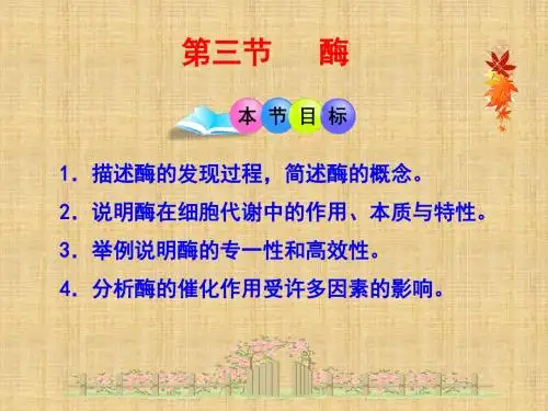浙科版高中生物必修一 酶(全课时) 名师公开课优质课件 (38张)
